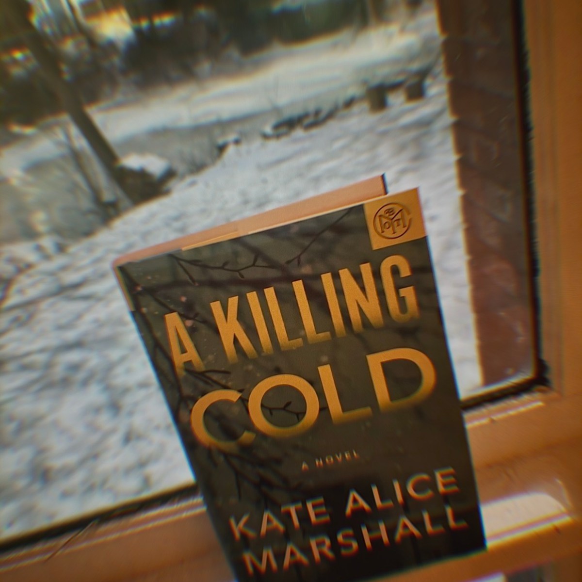 A Killing Cold Review: Thrilling Mystery&nbsp;Unveiled